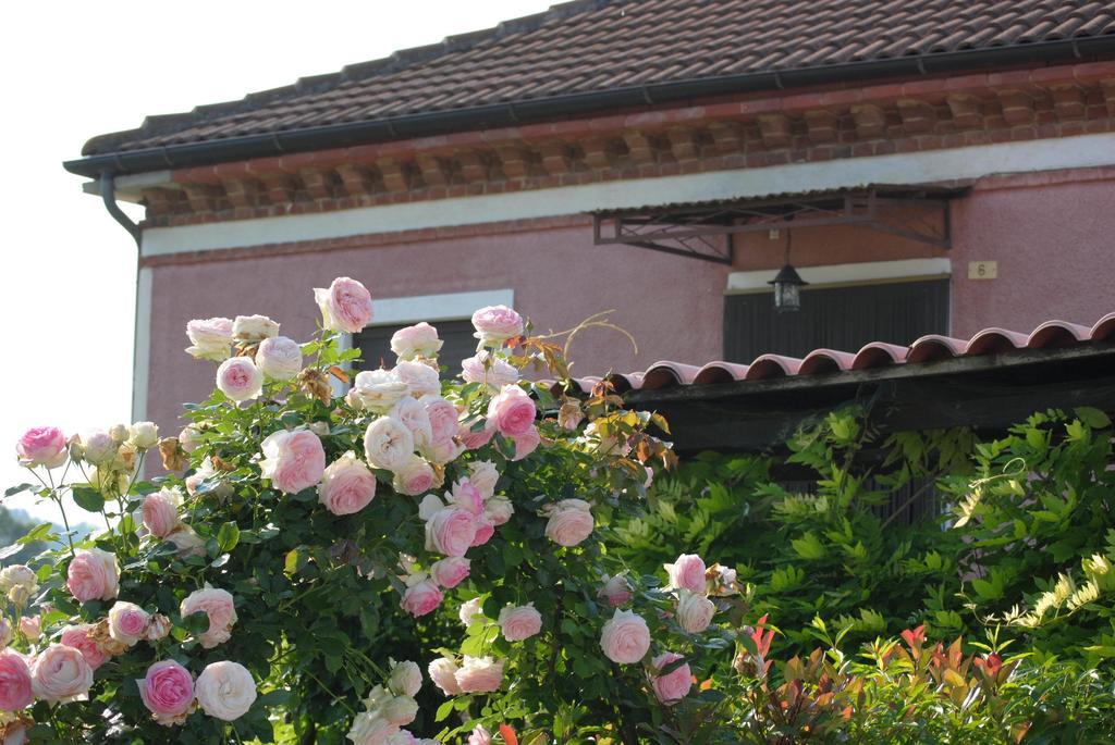 Cortazzone B&B La Ca Cita מראה חיצוני תמונה